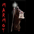 Marmot